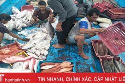 Nghề bóng ghẹ, câu khơi ở Hà Tĩnh cho thu nhập từ 2 - 5 tỷ đồng/năm/tàu