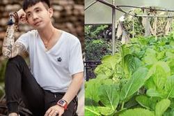 Quên hình ảnh đại gia ăn chơi nức tiếng đi, Minh Nhựa nay quyết làm nông dân khi tự tay chăm sóc vườn rau xanh mướt