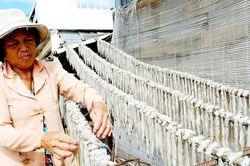 Đặc sản vào mùa, làng hoa thấp thỏm
