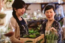 Mỗi khi tôi rửa bát, mẹ chồng lại đứng bên cạnh nhìn chằm chằm khiến tôi run rẩy muốn quẳng bát rồi phủi tay bỏ đi
