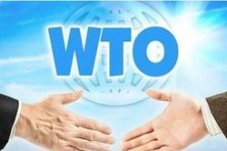 WTO: 25 năm thách thức và khủng hoảng