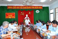 Quan tâm củng cố các tổ chức cơ sở Đảng