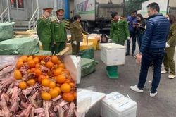 Bắt gần 5 tấn thực phẩm nhập lậu từ Trung Quốc, chuẩn bị vào Sài Gòn