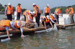 Giải pháp bảo vệ nguồn lợi thủy sản