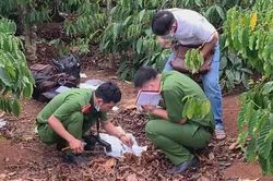 Manh mối vụ phi tang xác nữ 9X trong rẫy cà phê