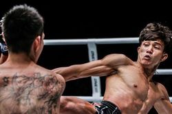 Top 5 võ sĩ nổi bật nhất Việt Nam năm 2019