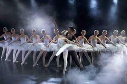 Ballet 'Hồ Thiên Nga' sẽ trình diễn trên sân khấu ngoài trời