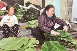 Hối hả vào vụ Tết