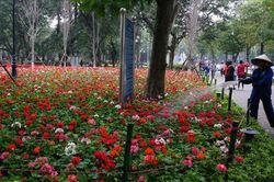 10 ngày đầu tiên của năm mới thời tiết có gì đặc biệt?