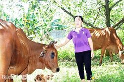 Một năm giảm nghèo hiệu quả