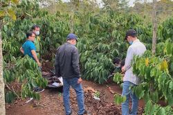 Đã xác định được danh tính người phụ nữ tử vong trong rẫy cà phê