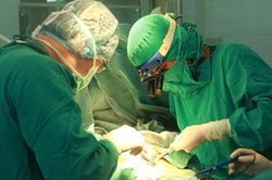 TP.HCM công bố 10 hoạt động khám chữa bệnh ấn tượng trong năm 2019