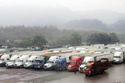 Nhộn nhịp hoạt động xuất, nhập khẩu ngày đầu năm 2020
