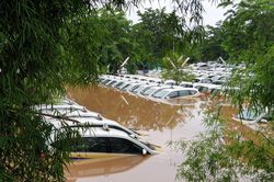 Ít nhất 21 người thiệt mạng do mưa lớn gây ngập lụt tại Jakarta