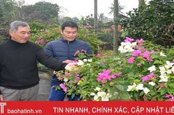 'Khi Chi bộ tín nhiệm, người dân cần, tôi sẵn sàng cống hiến'