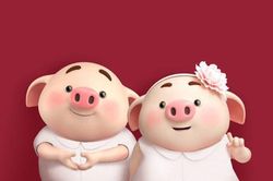 Tuổi Hợi năm Canh Tý