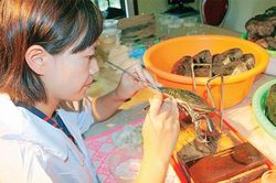 Ngọc quý hồ nước ngọt