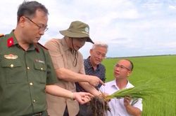 Tổng công ty Kinh tế Kỹ thuật công nghiệp Quốc phòng liên kết phát triển nông nghiệp xanh bền vững
