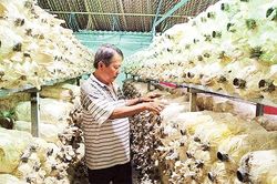 Làm theo Bác Hồ từ công việc hằng ngày