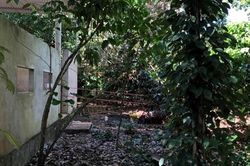 Vợ phát hiện thi thể chồng bị thiêu cháy dưới hố sâu
