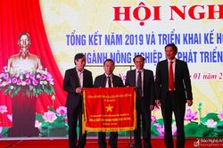 Nghệ An: Xây dựng nền nông nghiệp hiện đại, hiệu quả