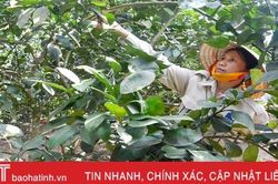 Quỹ Phát triển phụ nữ Hà Tĩnh cho 17.428 thành viên vay hơn 150 tỷ đồng