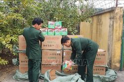 Biên phòng Lào Cai thu giữ gần 700 kg pháo hoa lậu