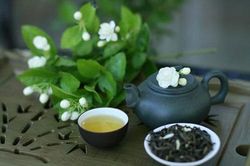 Biết được những lợi ích này, chắc chắn bạn sẽ mua ngay một chậu hoa nhài đặt trong nhà