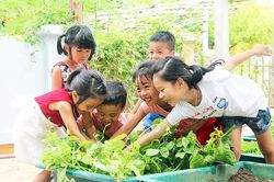 Nhạc sĩ của những bài hát hay về thiếu nhi