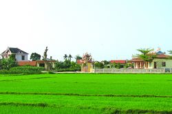10 năm xây dựng nông thôn mới với nhiều ấn tượng tốt đẹp