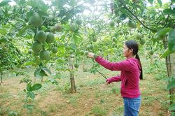 Hiệu quả Cuộc vận động 'Xây dựng gia đình 5 không, 3 sạch'