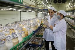 Chương trình OCOP thành phố Hà Nội: Hướng đến mục tiêu cao hơn