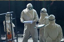 Bộ Y tế chỉ đạo kiểm soát chặt, tránh nguy cơ lây virus qua cửa khẩu