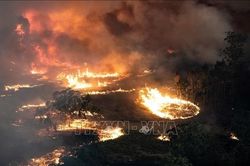 Cháy rừng ở Australia: Bang Victoria ban bố tình trạng thảm họa