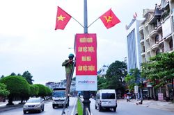 Khởi tố thanh niên gỡ cờ Tổ quốc từ cột đèn ném xuống sông ở Tiền Giang