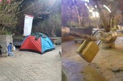 Chủ buôn dùng xích chăng kín gốc, trắng đêm dầm mưa lạnh canh đào Tết giá hàng chục triệu đồng ngăn trộm