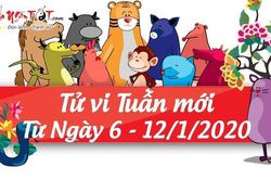Tử vi tuần mới từ 6/1 đến 12/1 năm 2020 của 12 con giáp