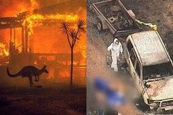 Thảm họa cháy rừng ở Australia: Bầu trời đỏ 'như địa ngục', cả người và động vật chết cháy
