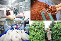 Xuất khẩu nông sản: Quan tâm yếu tố tâm lý khách hàng