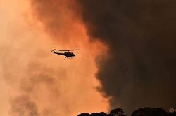Diện tích cháy rừng Australia lớn gấp đôi nước Bỉ