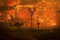 Điện thăm hỏi về cháy rừng tại Australia
