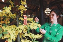 Khép lại không gian Tết cổ truyền tại 'Lễ hội Tết Việt 2020'
