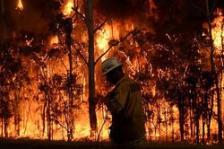 Những con số 'biết nói' trong ngọn lửa 'địa ngục' ở Australia