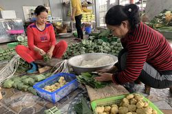 Hương vị Tết ở làng bánh chưng Tranh Khúc