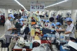Doanh nghiệp tư nhân là điểm sáng trong dài hạn của kinh tế Việt Nam