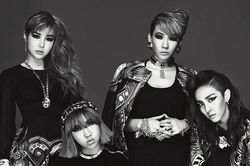 Park Bom mong 2NE1 comeback sau bê bối ma túy, Knet nói gì?