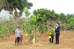 Hiệu quả những đồng vốn chính sách