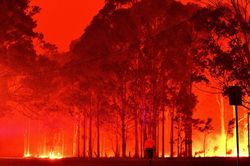 Kinh tế Australia lao dốc sau thảm họa cháy rừng