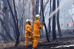 Australia lập quỹ 2 tỷ AUD khắc phục hậu quả cháy rừng
