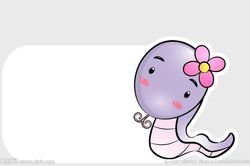 Dự đoán ngày mới 08/01/2020 cho 12 con giáp: Tuất vượng vận quý nhân, Thân long đong khó đỡ